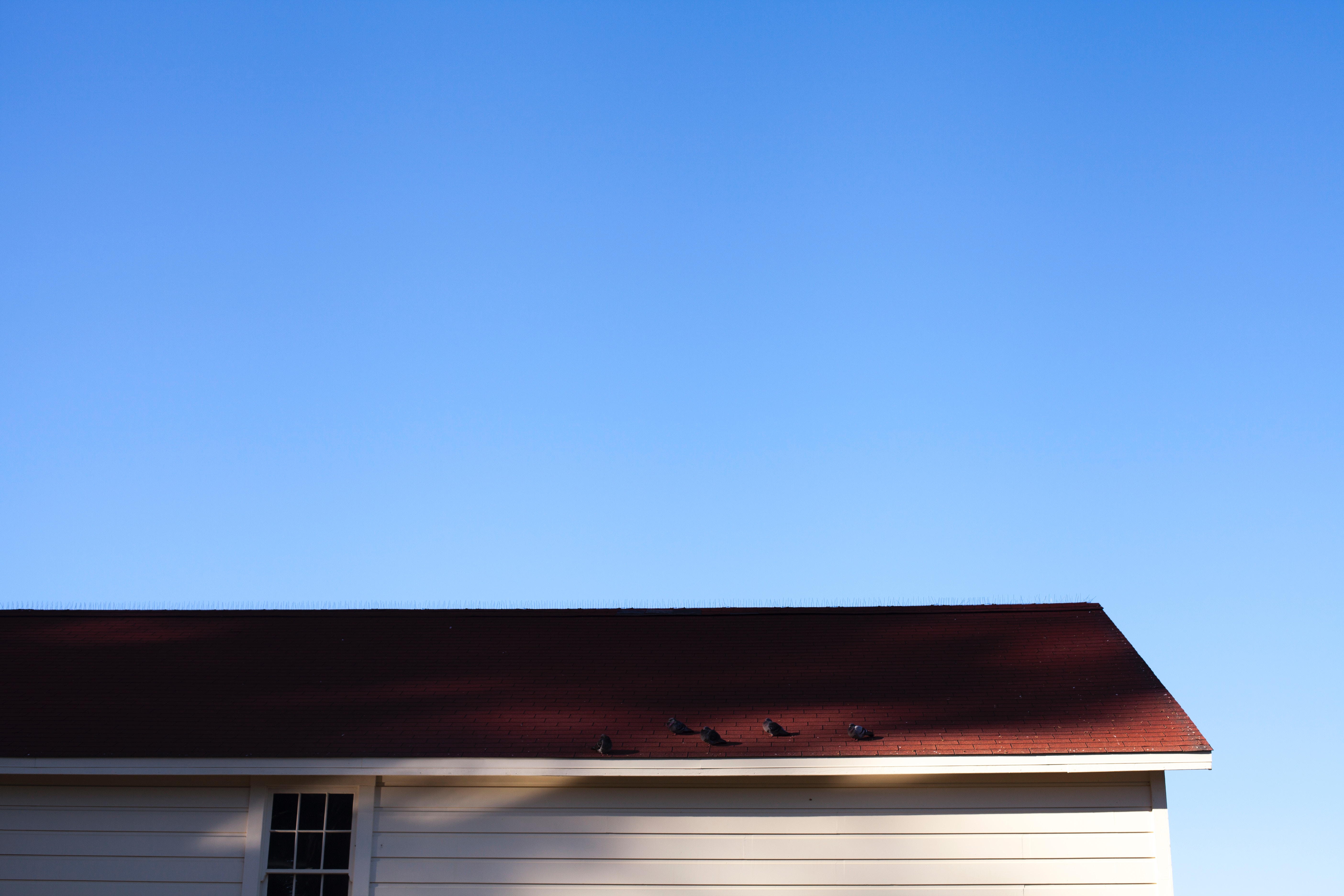 Starting A Renovation: 5 Roof Remodeling Tips