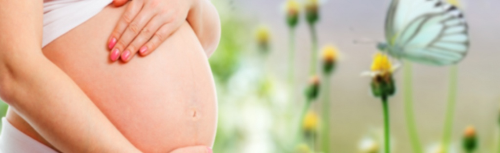 Qualifications In Becoming A Surrogate Mother